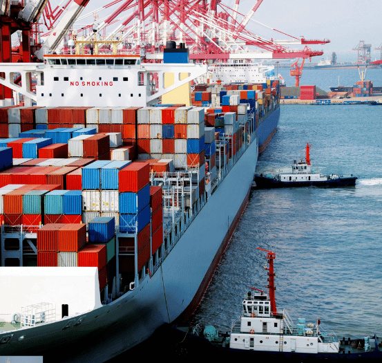 Untitled design (193)